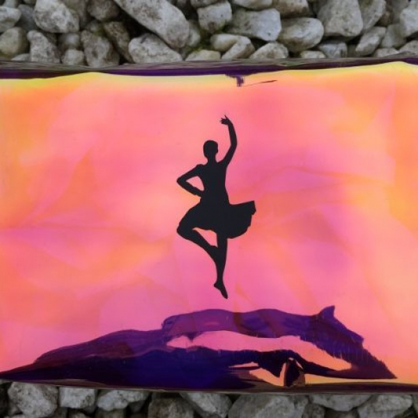 Dancer Toiletry Bag