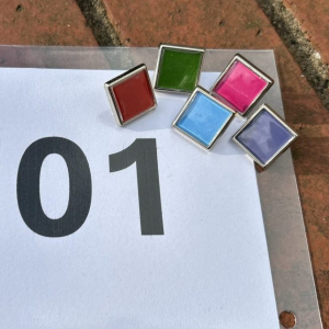 Number Sleeve Pins
